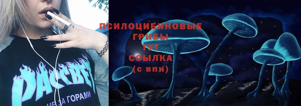 дурь Алексин