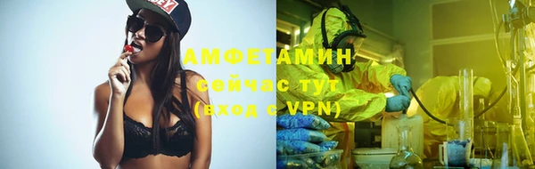 ГАЛЛЮЦИНОГЕННЫЕ ГРИБЫ Алзамай