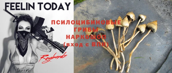 дурь Алексин