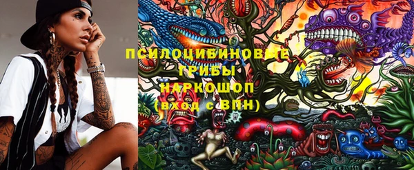 гидропоника Алексеевка