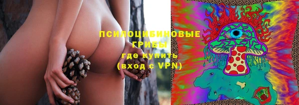дурь Алексин
