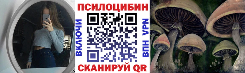 Псилоцибиновые грибы Cubensis  Томск 
