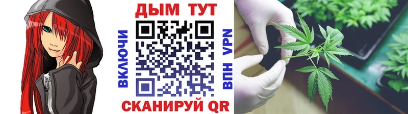 мега зеркало  Томск  Марихуана ГИДРОПОН 